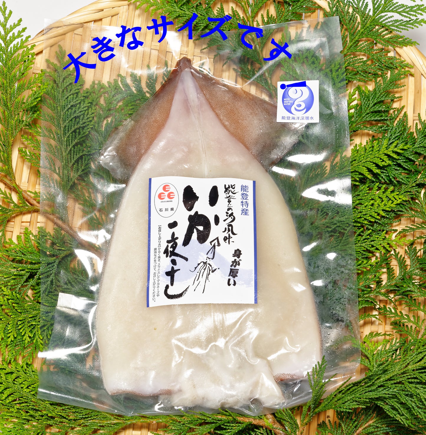 海洋深層水仕込みイカの一夜干し(1枚入)肉厚大サイズ
