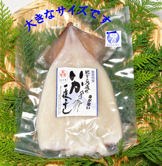 海洋深層水仕込みイカの一夜干し(1枚入)肉厚大サイズ