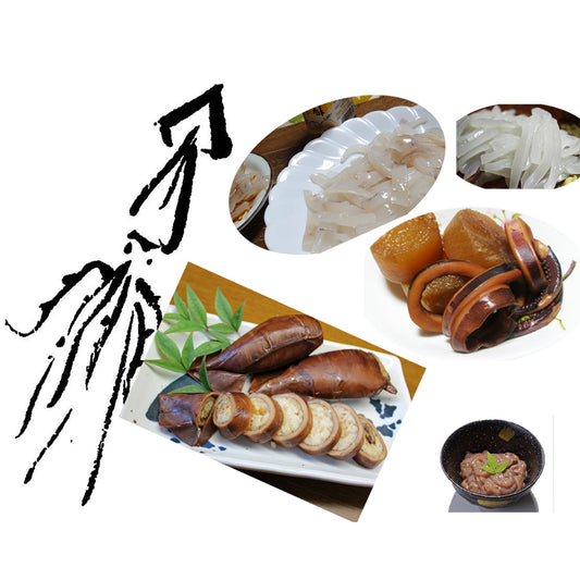 【基本送料無料】能登小木港産船凍イカ(10ハイ)【190g~310gサイズ】