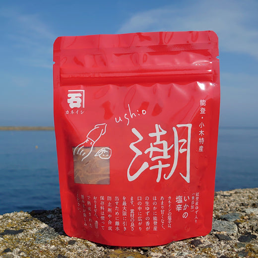 イカの塩辛「潮」