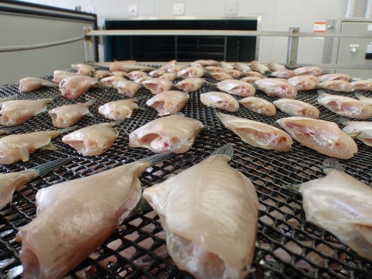 海洋深層水仕込みカワハギの一夜干し(150g)