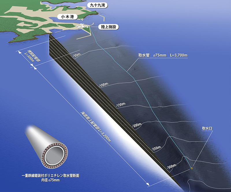 海洋深層水塩 能登の塩(100g)