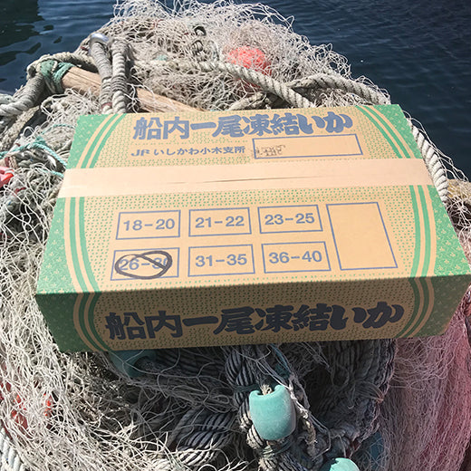 【基本送料無料】能登小木港産船凍イカ(元箱26~30ハイ 8kg)